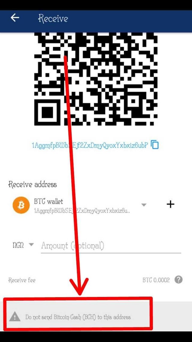 Avoid Depositing Bitcoin Cash Bch Into!    A Bitcoin Btc Wallet - 